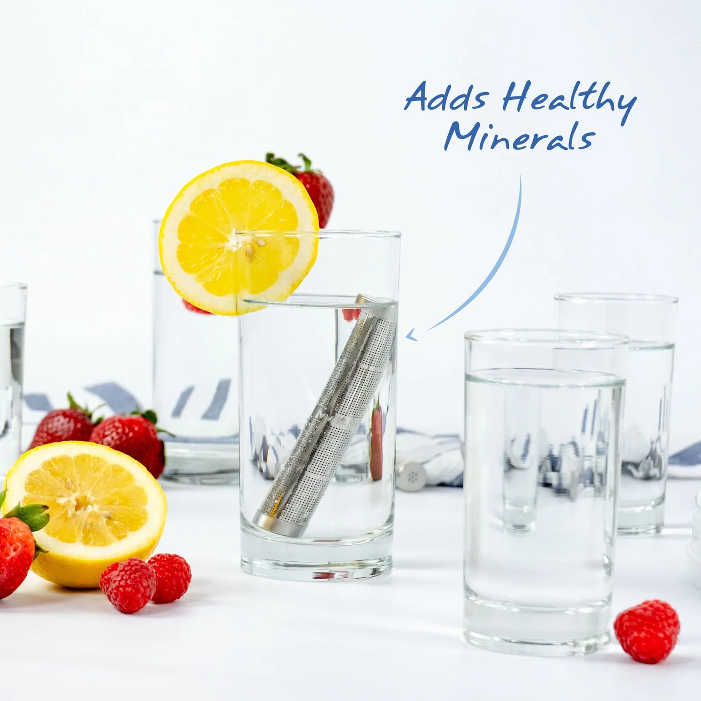 SANTEVIA Water Bottle Filter