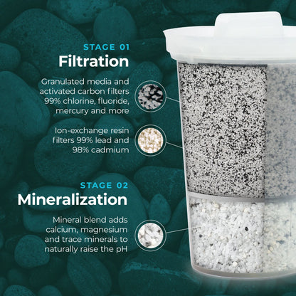 SANTEVIA MINA Filters - 3 Pack